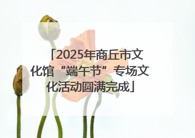 2025年商丘市文化馆“端午节”专场文化活动圆满完成