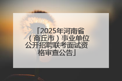 2025年河南省（商丘市）事业单位公开招聘联考面试资格审查公告