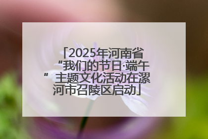 2025年河南省“我们的节日·端午”主题文化活动在漯河市召陵区启动
