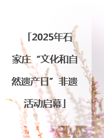 2025年石家庄“文化和自然遗产日”非遗活动启幕