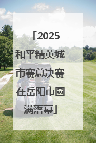 2025和平精英城市赛总决赛在岳阳市圆满落幕