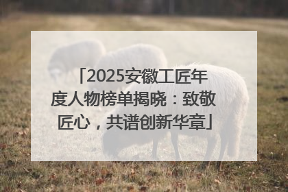 2025安徽工匠年度人物榜单揭晓：致敬匠心，共谱创新华章