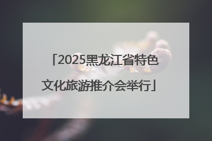 2025黑龙江省特色文化旅游推介会举行