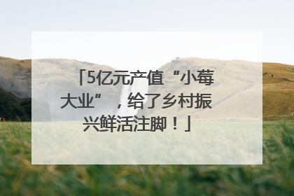 5亿元产值“小莓大业”，给了乡村振兴鲜活注脚！