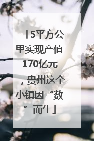5平方公里实现产值170亿元，贵州这个小镇因“数”而生