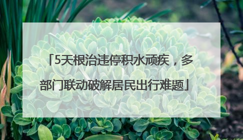 5天根治违停积水顽疾，多部门联动破解居民出行难题