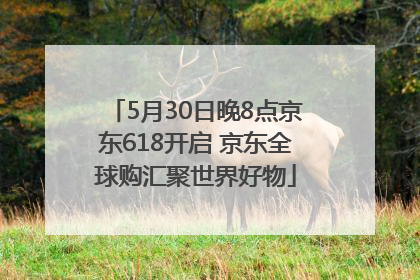5月30日晚8点京东618开启 京东全球购汇聚世界好物