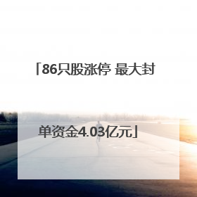 86只股涨停 最大封单资金4.03亿元