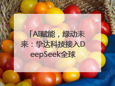 AI赋能，绿动未来：挚达科技接入DeepSeek全球化布局的新篇章