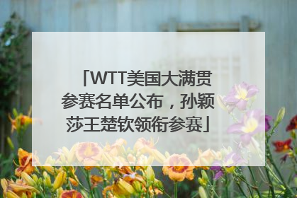 WTT美国大满贯参赛名单公布，孙颖莎王楚钦领衔参赛