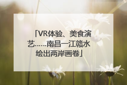 VR体验、美食演艺……南昌一江赣水绘出两岸画卷